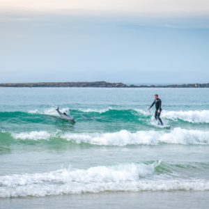 Encounter New Zealand’s unique wildlife right here