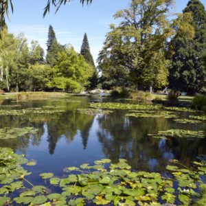 Our Top 8 Picnic Spots